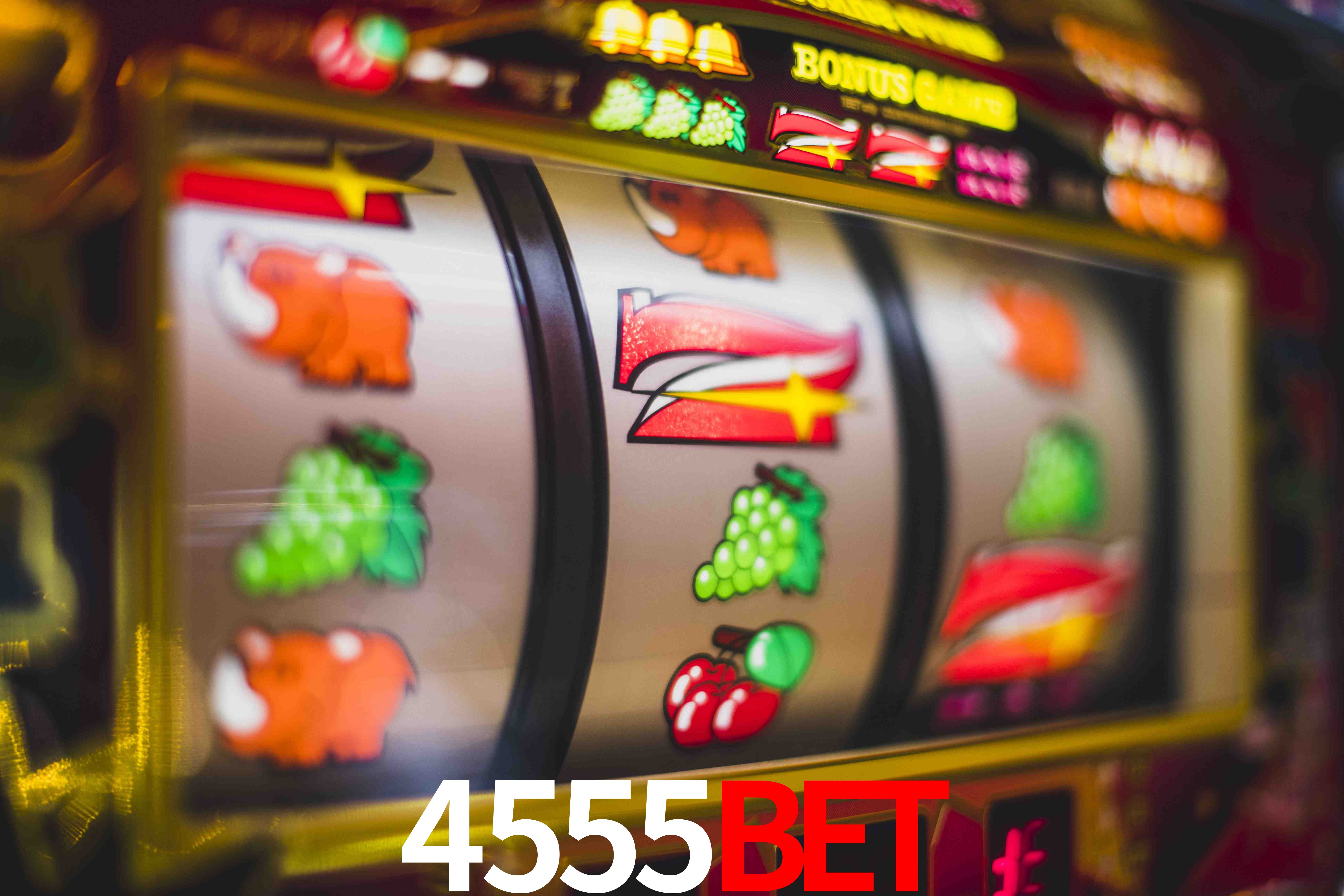 Sports Statistics 4555bet